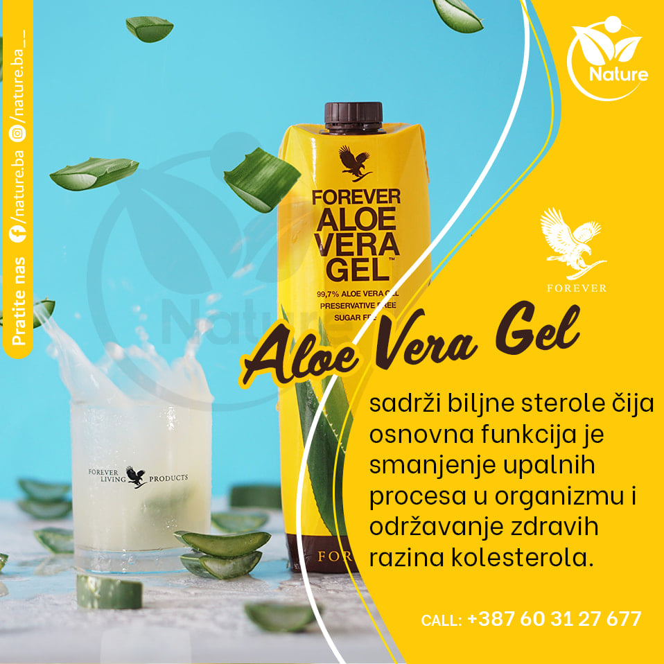 AloeVeraGelkolesterol