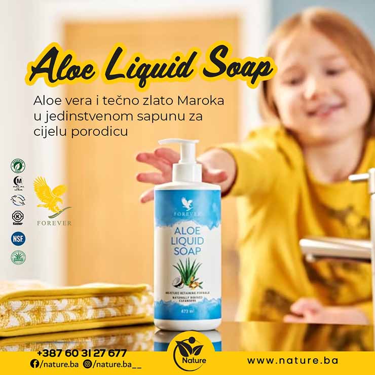 Aloe Liquid Soap