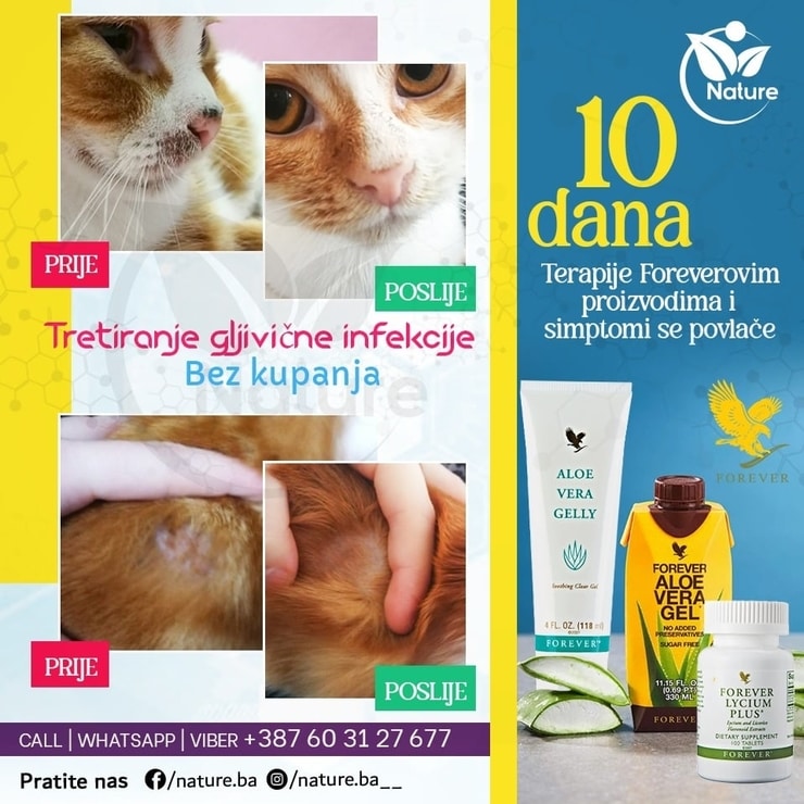 CuppySugarMikrosporosi