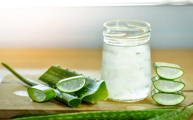 aloevera4